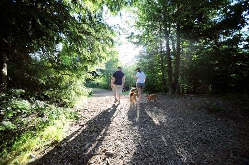 Point Pleasant Park