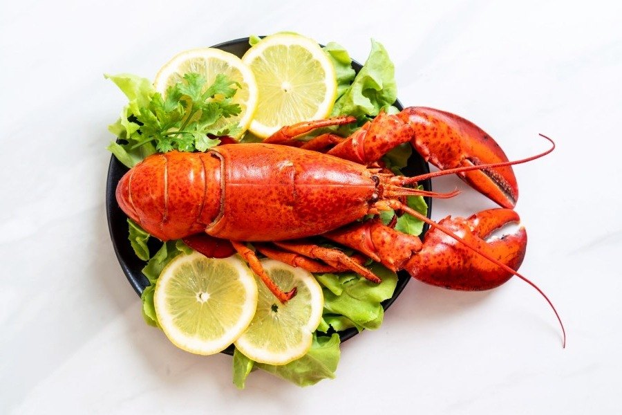 Treat yourself to lobster